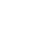 Accurate Accounting & Professional Services Pty Ltd